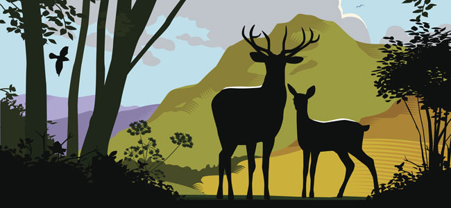 El ciervo, el manantial y el león. fábulas sobre la gratitud para niños El ciervo, el manantial y el león. fábulas sobre la gratitud para niños