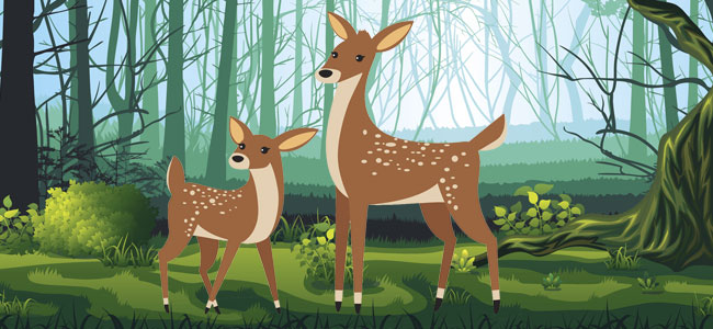 El ciervo y el cervatillo. Fábula clásica para niños