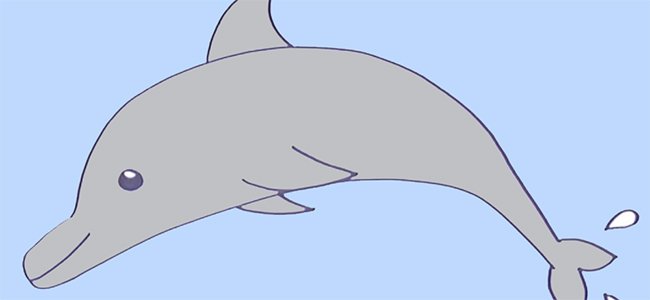 Cómo hacer, paso a paso, un dibujo de un delfín
