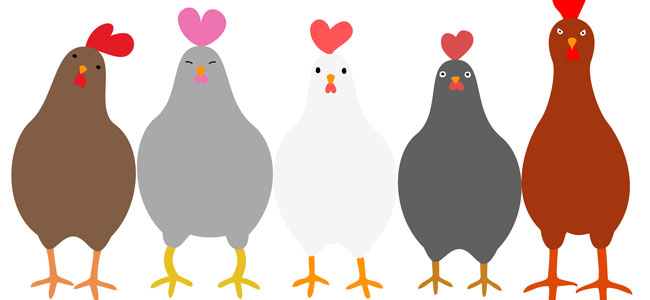 Pica la gallina Pica la gallina