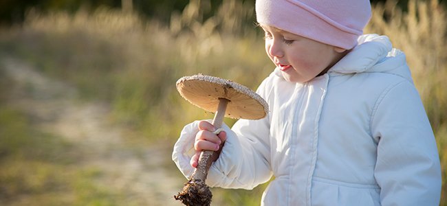 Cosas que no se deben hacer en el campo Cosas que no se deben hacer en el campo