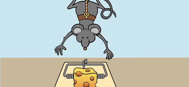 Poemas divertidos para niños