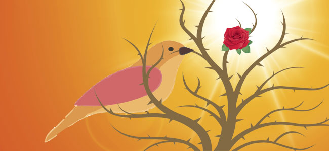 El ruiseñor y la rosa. Cuento para niños sobre valores