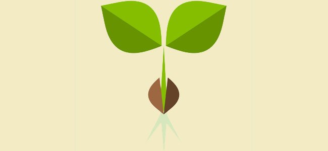 Poema corto La semilla Poema corto La semilla