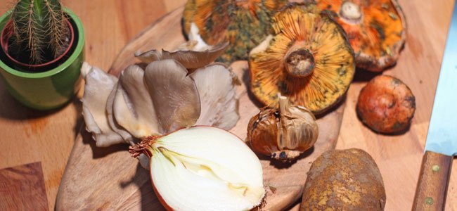 Crema de setas para bebés Ingredientes setas