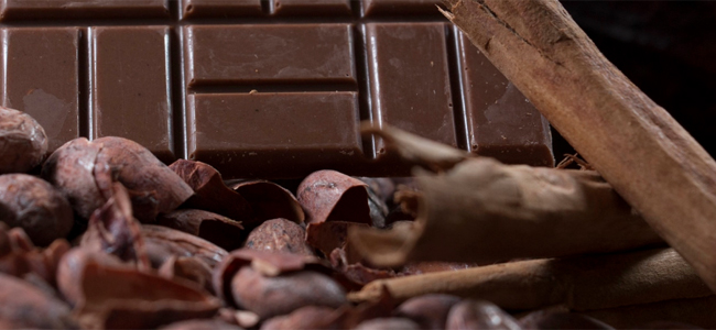 museo del chocolate museo del chocolate