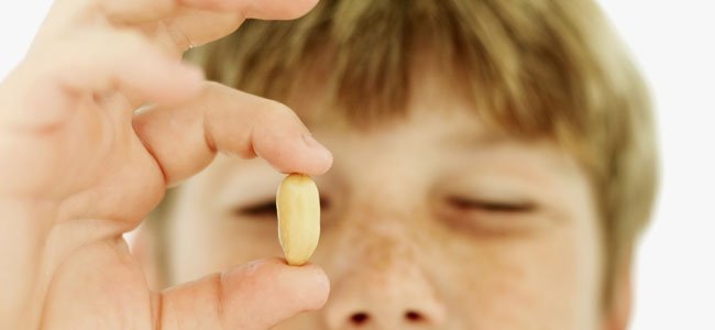 Alergias a los alimentos Alergias a los alimentos