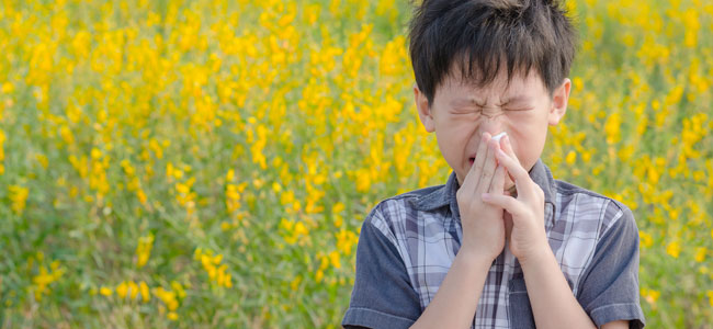 Alergias a los alimentos