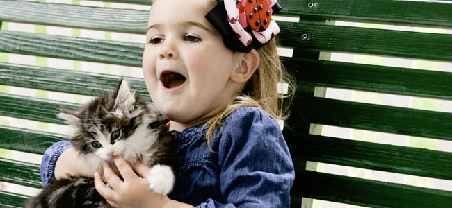 Mordeduras de animales a niños Mordeduras de animales a niños