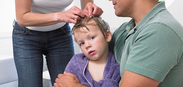 Los 7 errores más comunes de los padres ante una infestación de piojos en  los niños