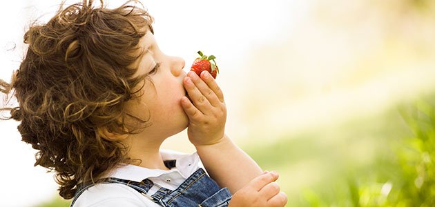 Niño come fresa