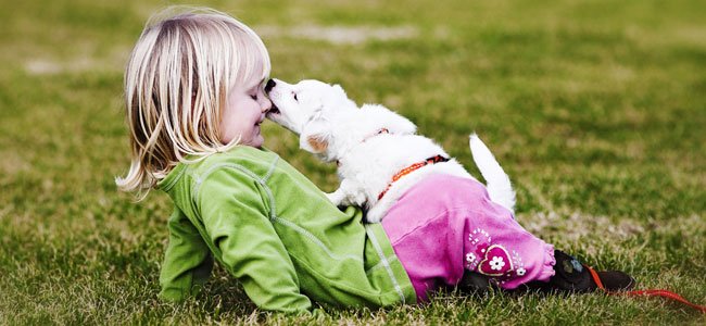 La enfermedad de la rabia en los niños La rabia en los niños