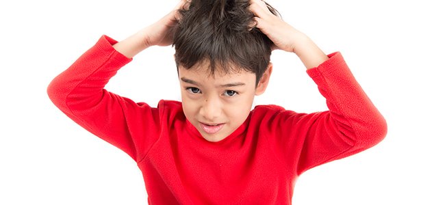 Todo sobre los piojos Todo sobre los piojos