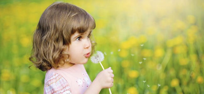 Cómo enseñar a respirar bien a los niños Niña sopla diente de león