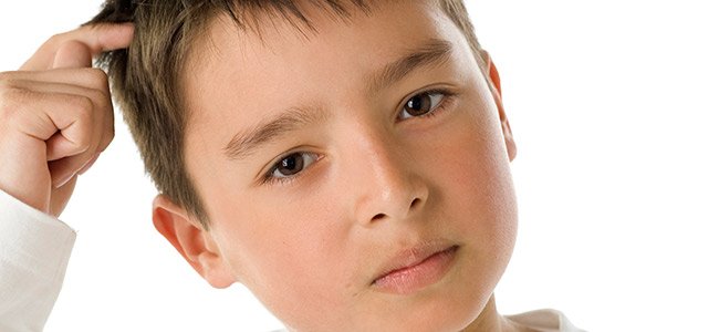 Vídeos sobre los piojos Vídeos sobre los piojos