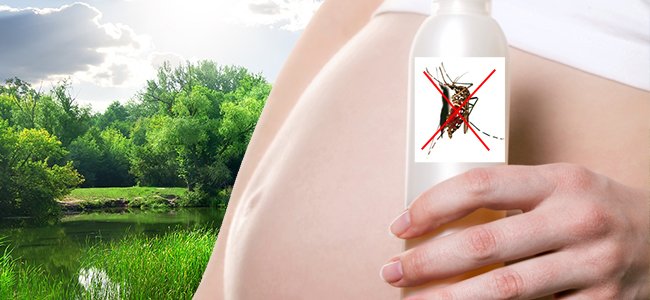 Consejos para prevenir zika virus en embarazadas Consejos para prevenir zika virus en embarazadas