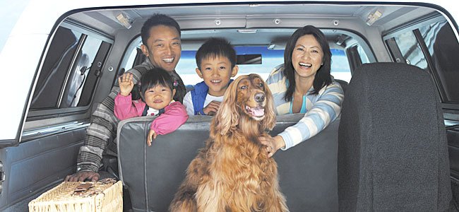 Viajes familiares con mascotas Viajes familiares con mascotas